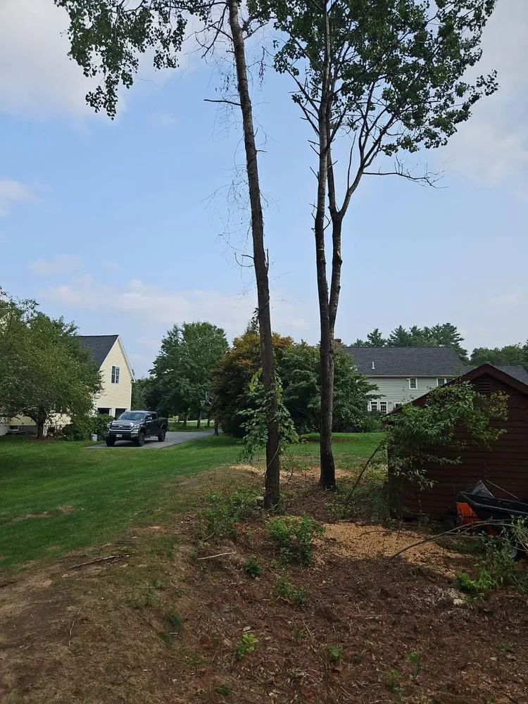Reliable garden landscaping experts serving Concord, NH - American Tree Service