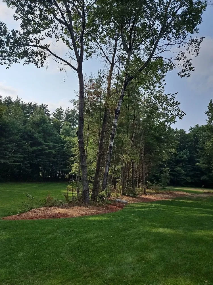 Affordable lawn mowing service in Concord, NH by American Tree Service