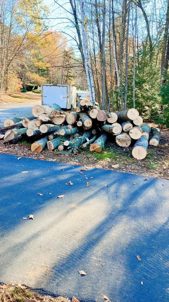 Top-rated garden landscaping experts serving Concord, NH - American Tree Service