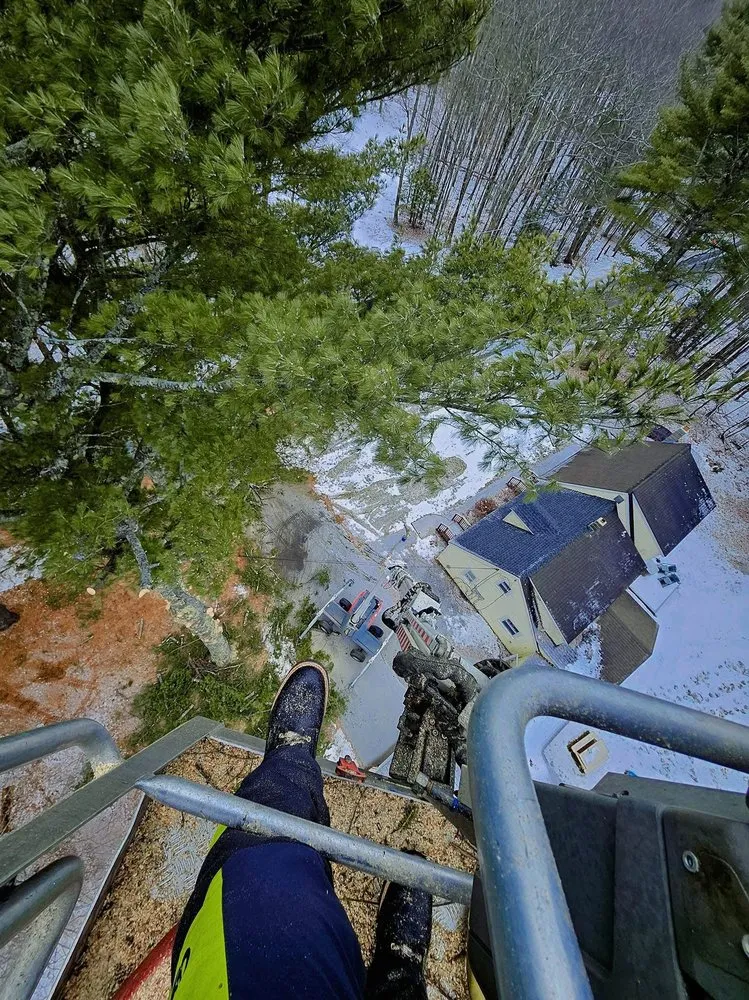 Affordable lawn mowing service in Concord, NH - American Tree Service