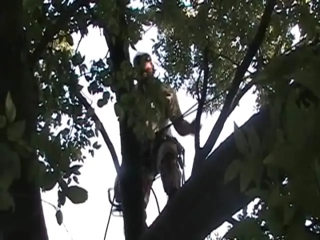 Expert landscape installation in Tulsa, OK - American Tree Works