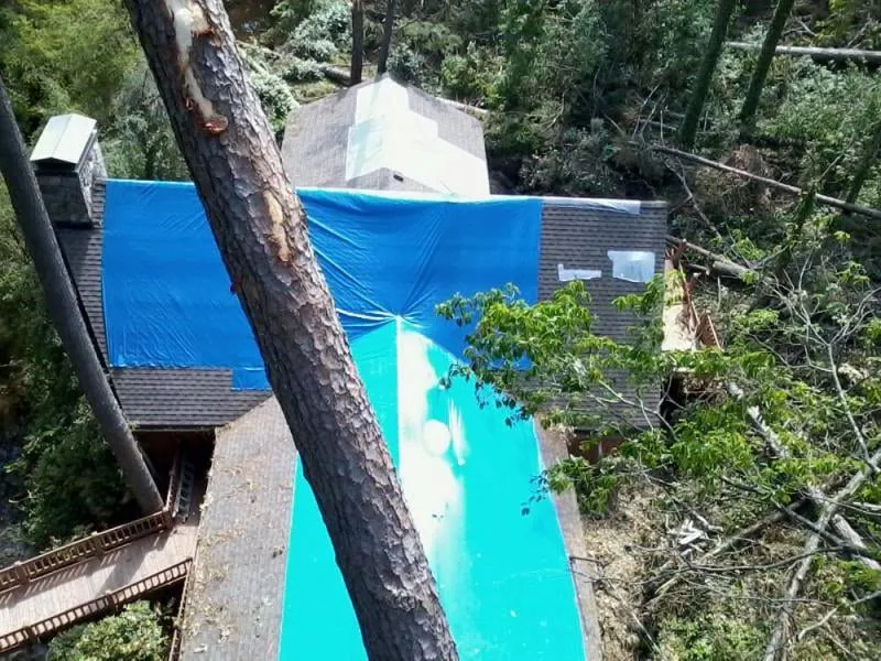 Trusted yard cleanup service with custom design across Tulsa, OK - American Tree Works