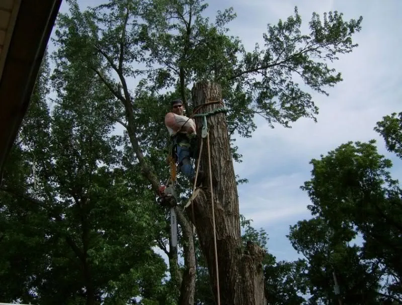 Local residential landscaping for residential properties across Tulsa, OK - American Tree Works