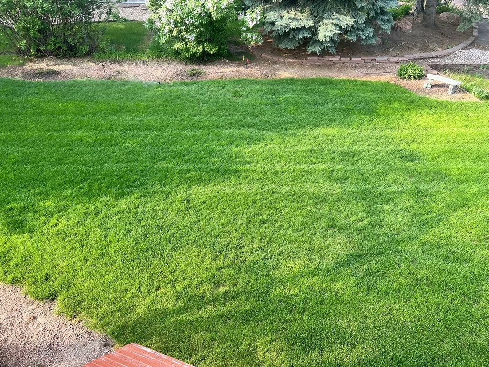 Expert residential landscaping in Greeley, CO by American Turf & Tree Care