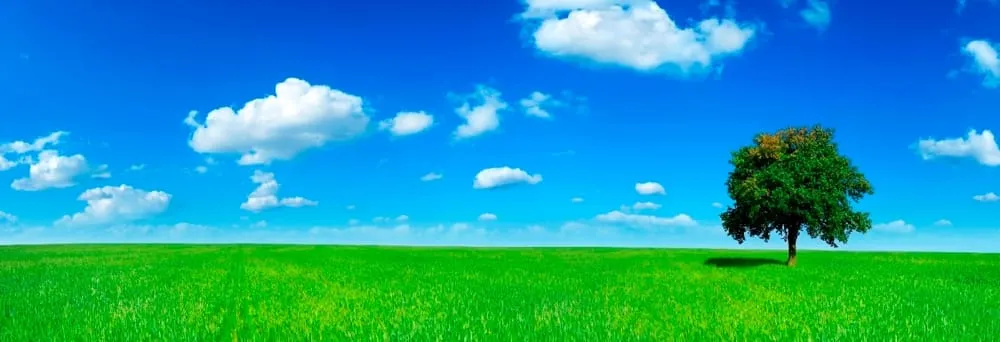 Reliable garden landscaping experts serving Greeley, CO - American Turf & Tree Care