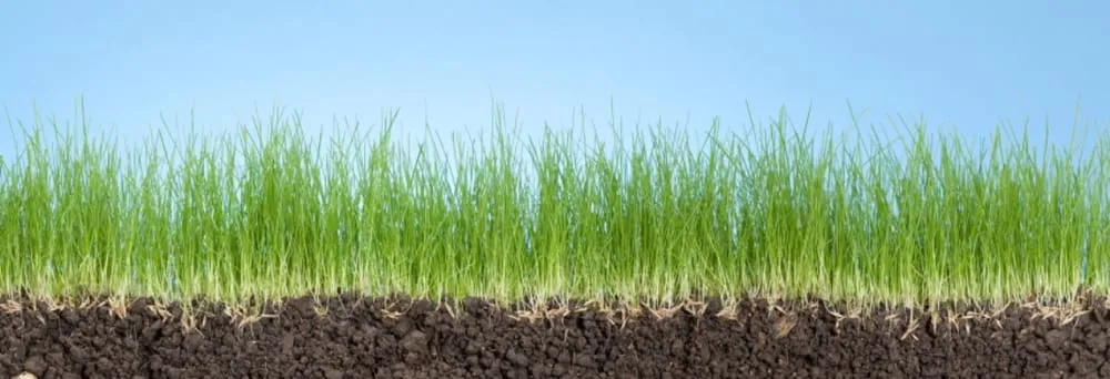 Local garden landscaping in Greeley, CO by American Turf & Tree Care