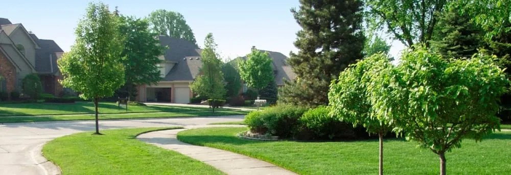 Affordable lawn care service in Greeley, CO - American Turf & Tree Care