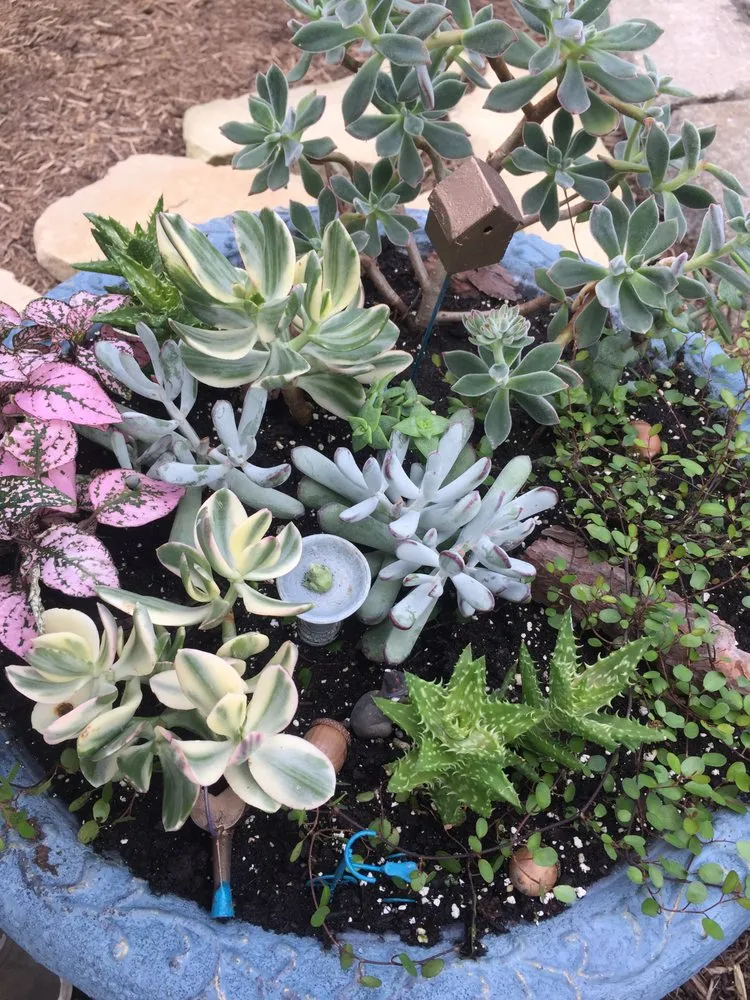 Reliable landscape installation in Bedford, OH - American Turf Landscape And Garden Center