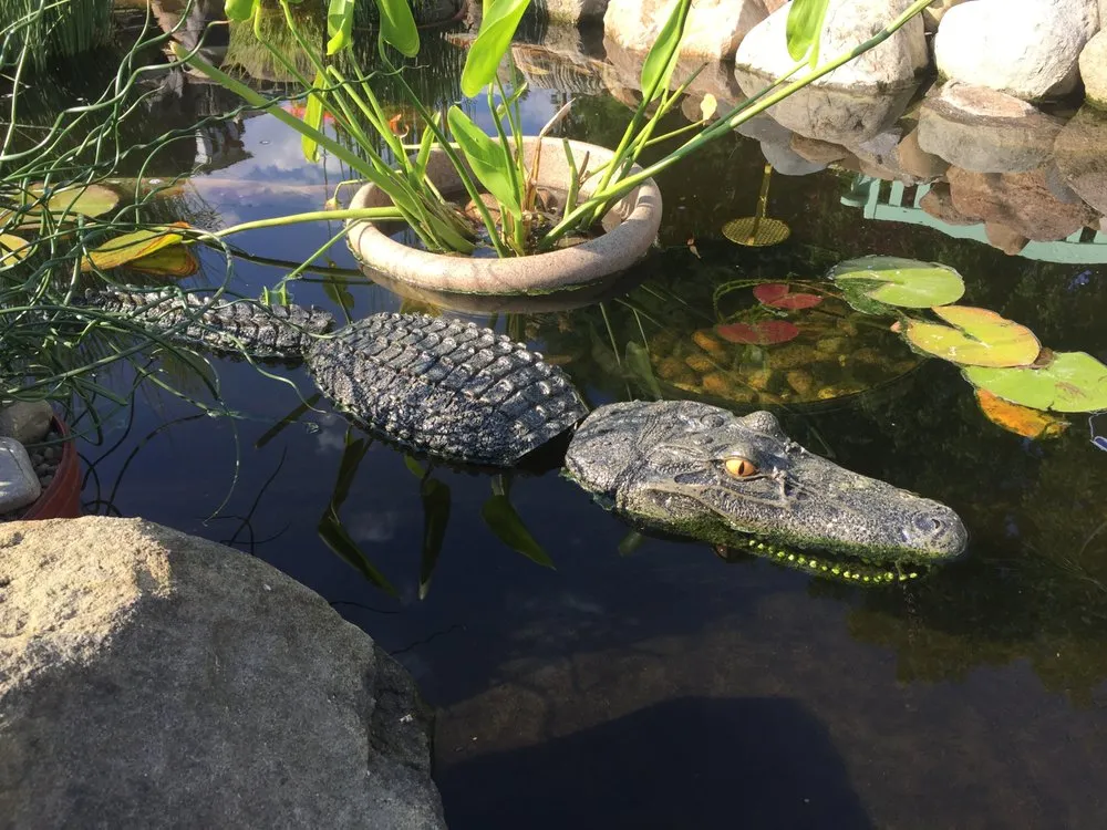 Affordable landscaping services in Bedford, OH by American Turf Landscape And Garden Center