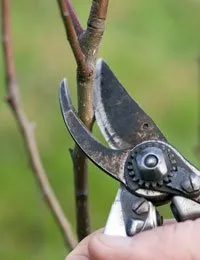 Affordable garden landscaping near you in Rochester, MN by American Turf Technicians