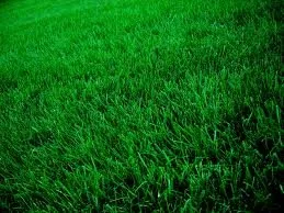 Reliable outdoor landscaping in Rochester, MN - American Turf Technicians