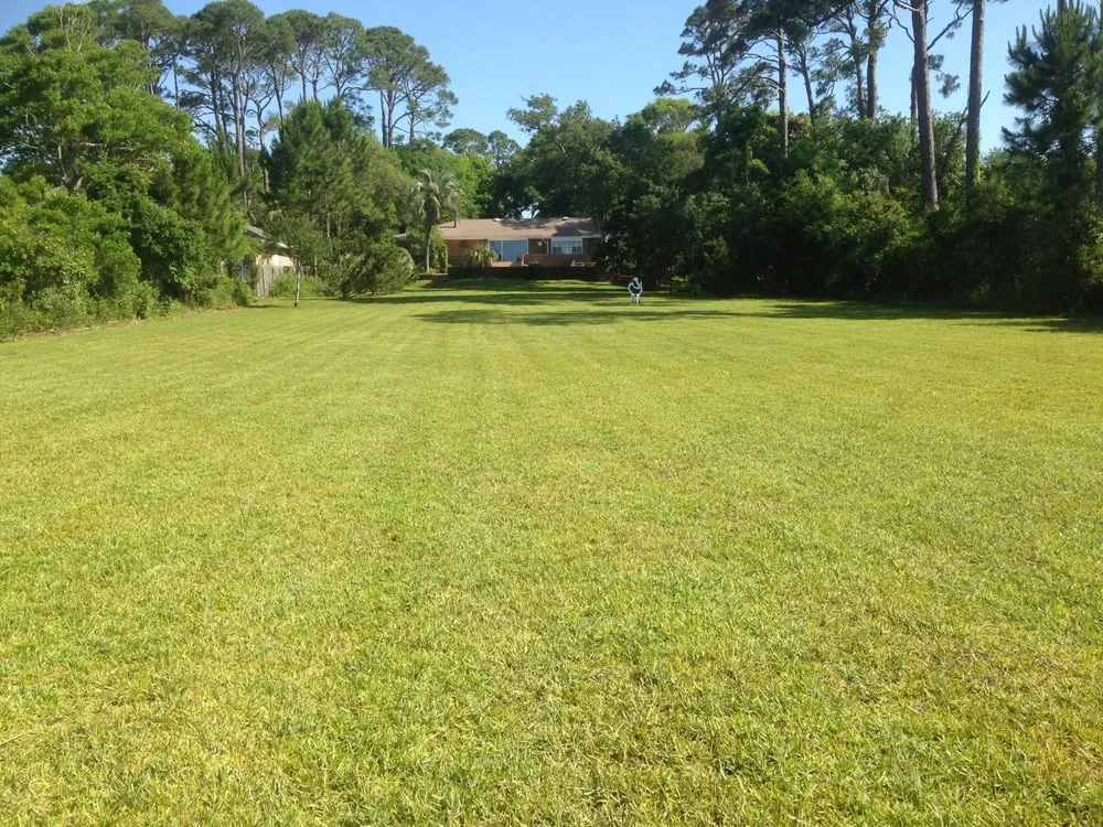 Professional outdoor landscaping near you in Navarre, FL by American Veteran Lawn Maintenance, LLC