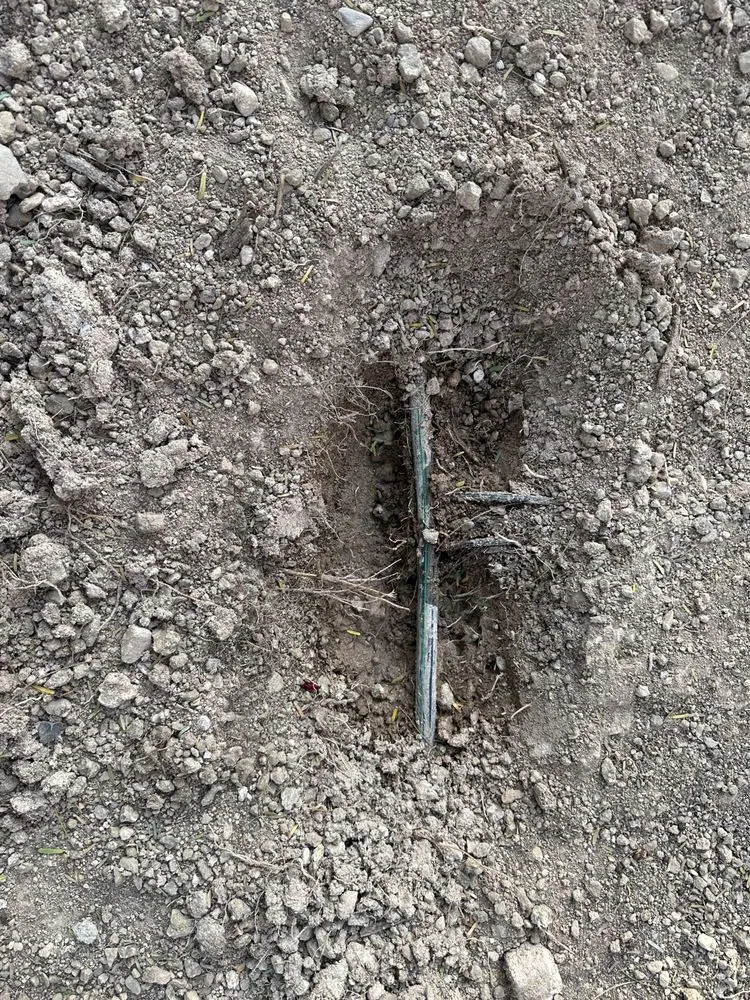 Affordable yard cleanup service for outdoor upgrades across Avondale, AZ - American Way Landscaping