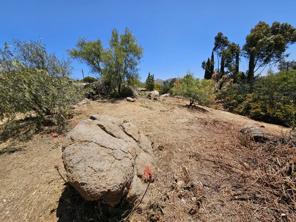 Custom yard maintenance experts serving Jamul, CA - American Weed Abatement