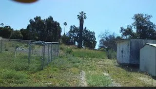 Trusted yard maintenance for year-round maintenance in Jamul, CA by American Weed Abatement