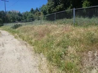 Local landscape design in Jamul, CA - American Weed Abatement