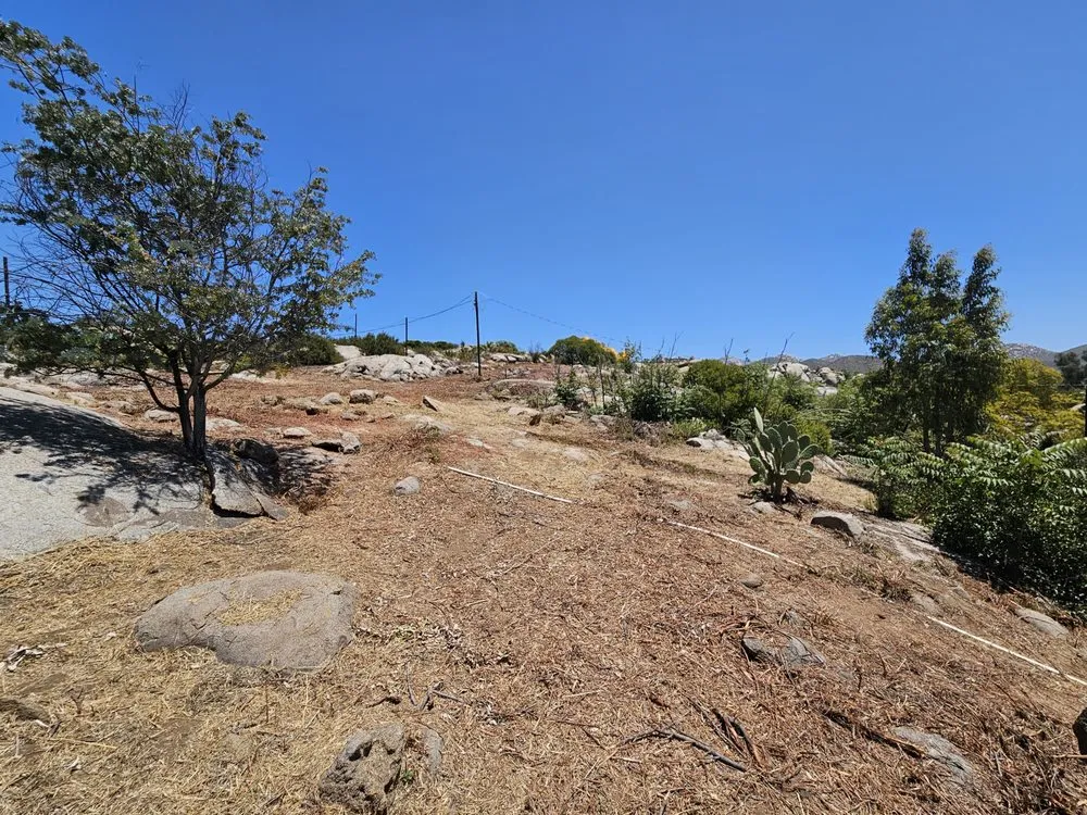 Top-rated yard cleanup service in Jamul, CA - American Weed Abatement