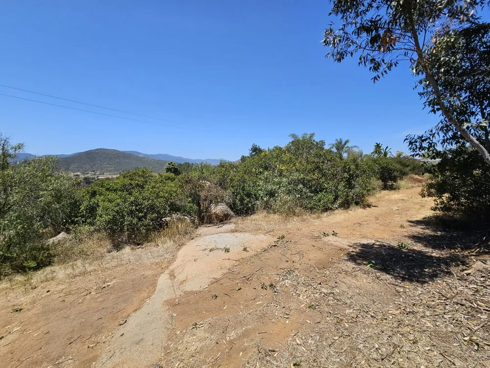 Local landscaping services with custom design in Jamul, CA by American Weed Abatement