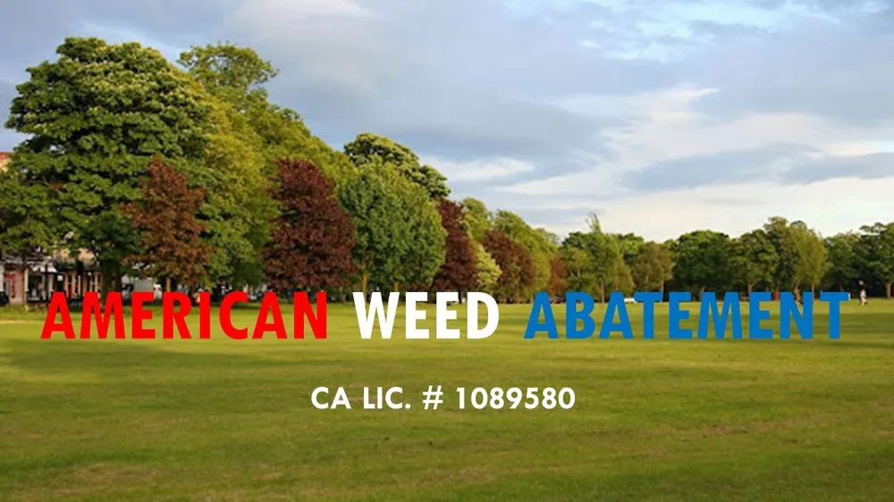 Professional outdoor landscaping for outdoor upgrades across Jamul, CA - American Weed Abatement