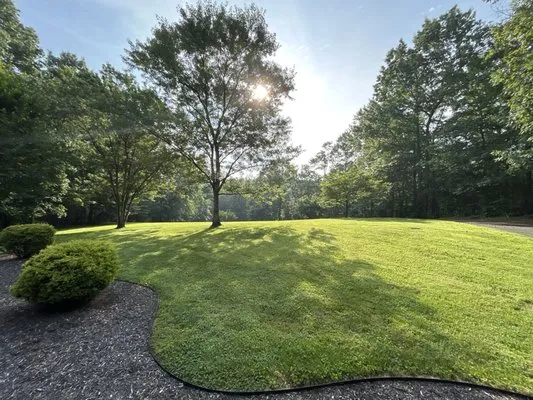 American Yard Lawn Care Logo