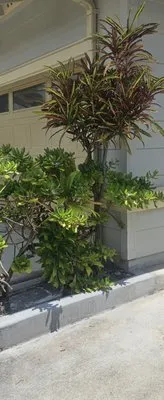 American Yard Service Oahu Logo