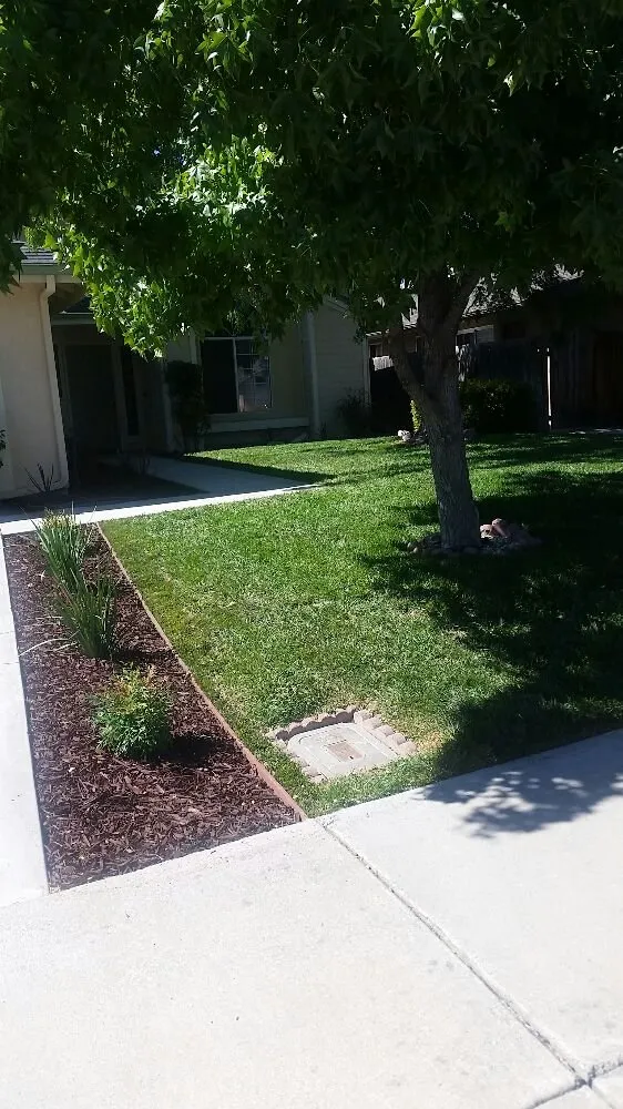 Trusted landscape installation experts serving Paso Robles, CA - American Yards