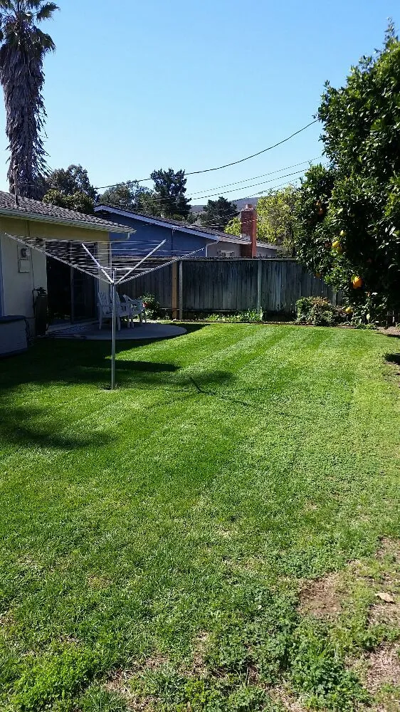 Affordable landscaping services in Paso Robles, CA - American Yards