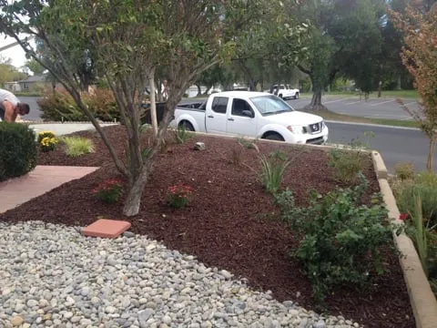 Local outdoor landscaping experts serving Paso Robles, CA - American Yards