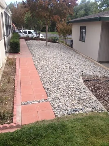 Affordable lawn care service in Paso Robles, CA by American Yards