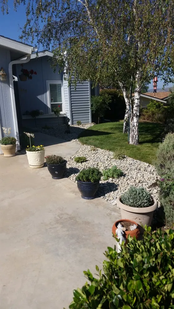 Reliable lawn care service experts serving Paso Robles, CA - American Yards