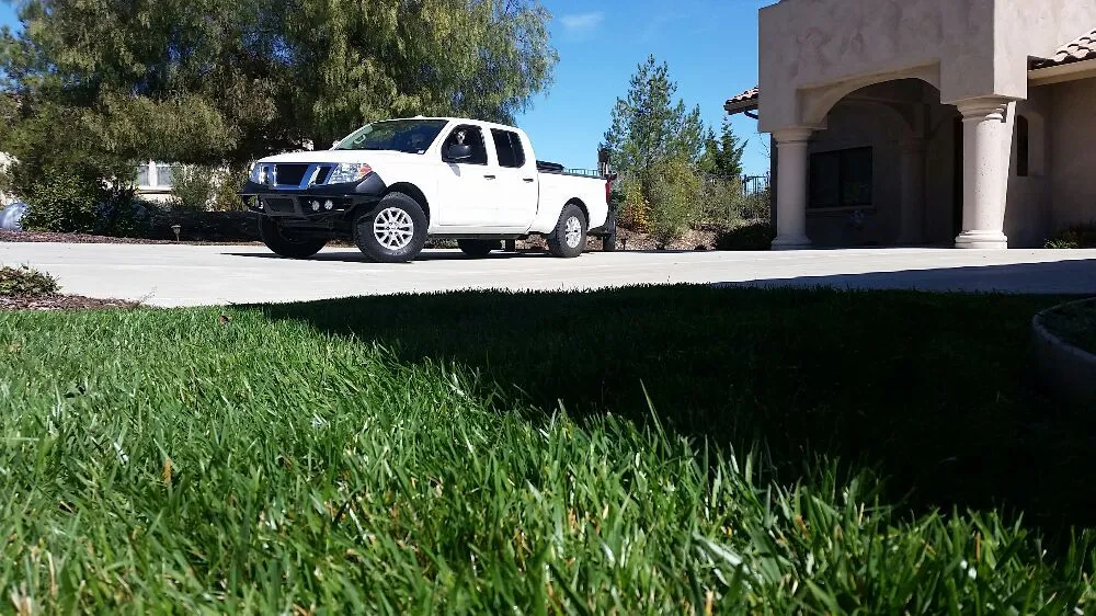 Trusted landscaping services in Paso Robles, CA by American Yards