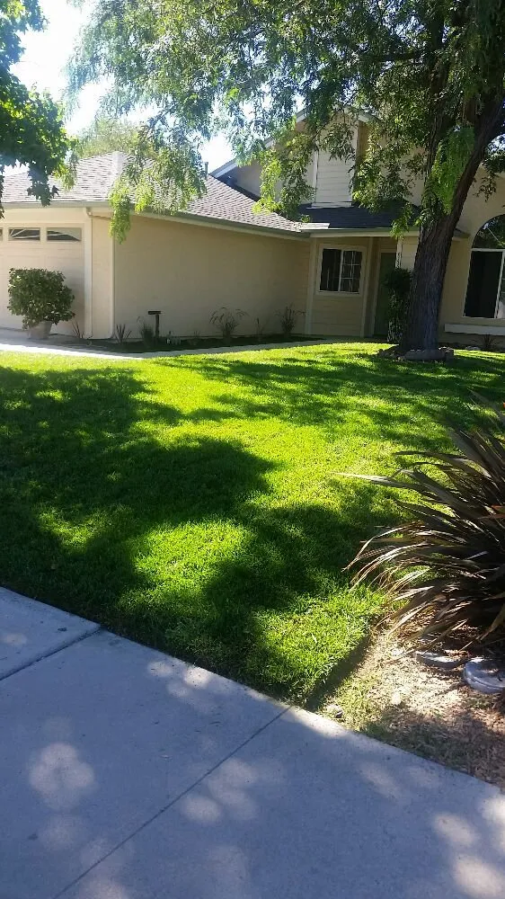 Custom residential landscaping in Paso Robles, CA by American Yards