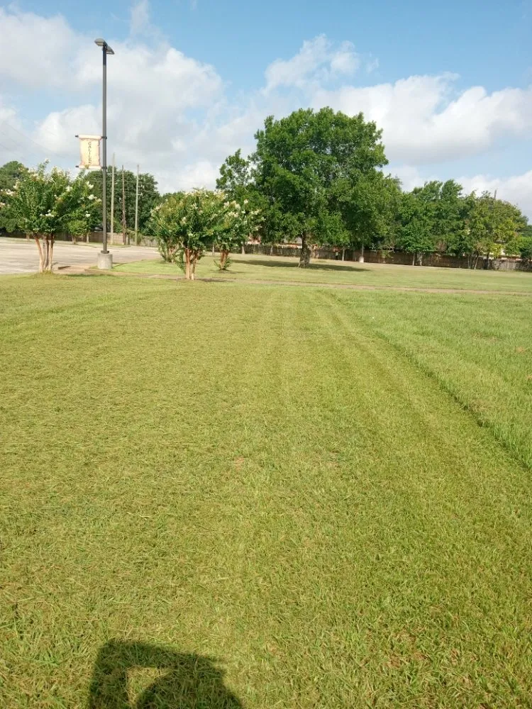 Affordable landscaping services experts serving Richmond, TX - America's art of Landscape and Home Remodel