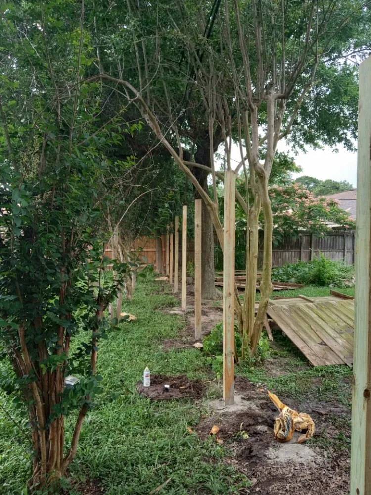 Reliable yard maintenance in Richmond, TX - America's art of Landscape and Home Remodel