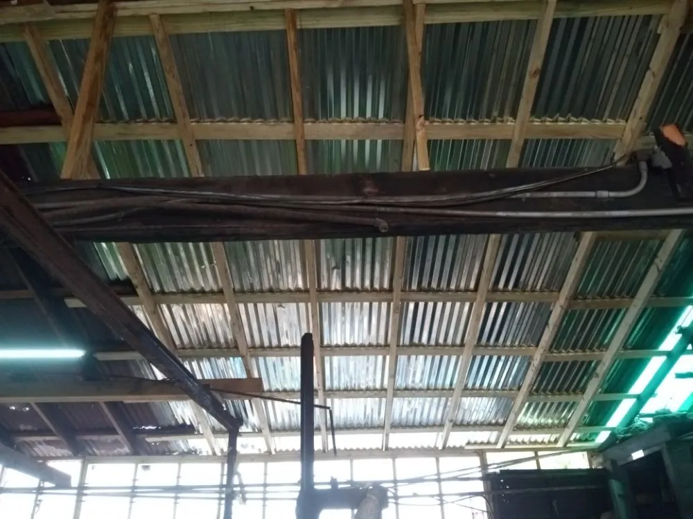 Professional yard cleanup service in Richmond, TX - America's art of Landscape and Home Remodel