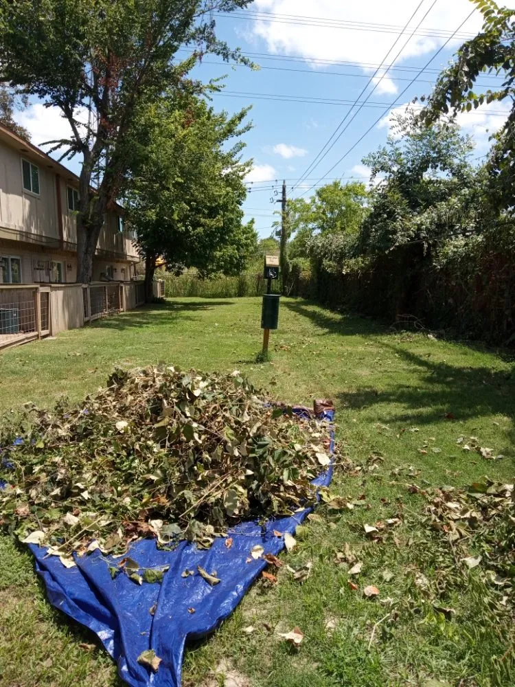 Professional landscape design experts serving Richmond, TX - America's art of Landscape and Home Remodel