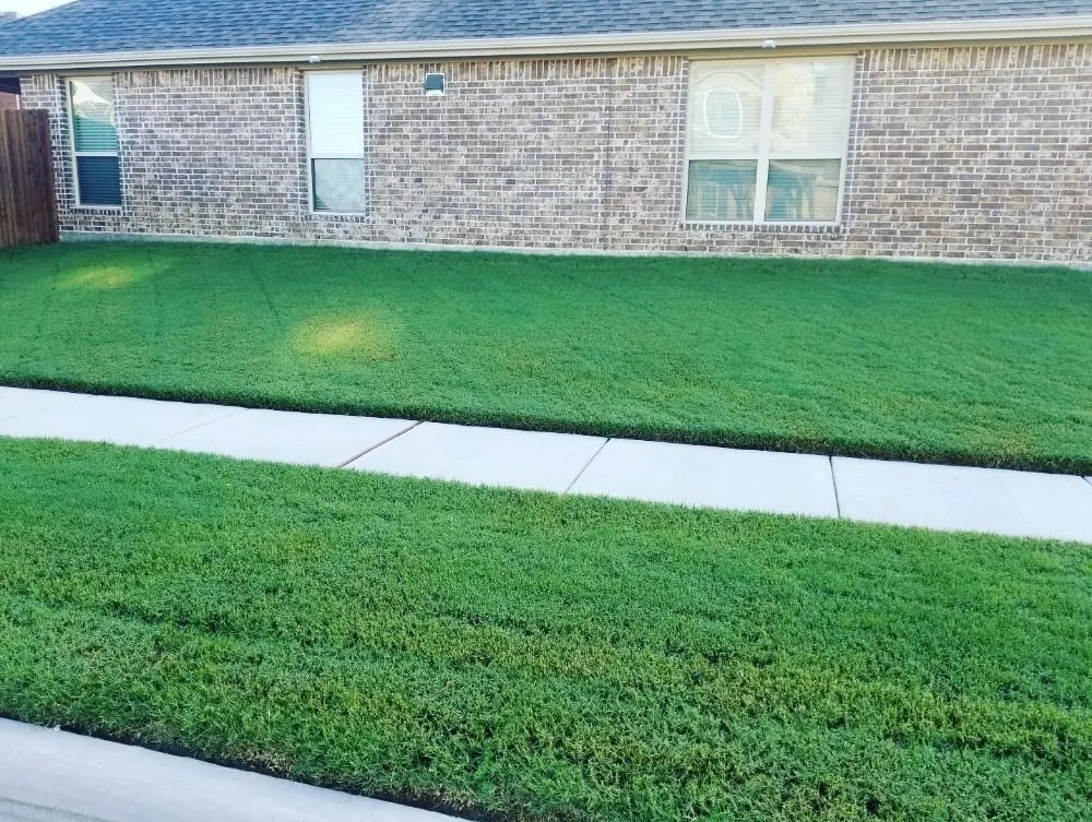 Top-rated outdoor landscaping experts serving Prosper, TX - America's Best Lawncare