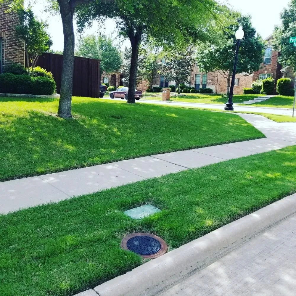 Local landscape installation experts serving Prosper, TX - America's Best Lawncare