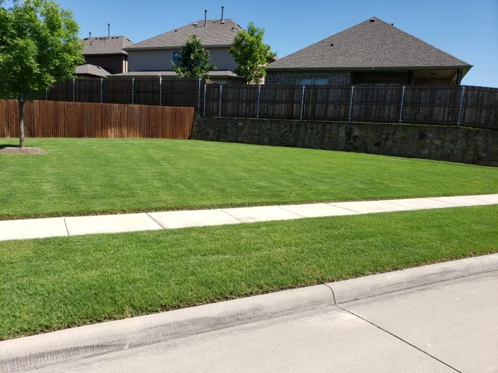 Professional landscape design for outdoor upgrades in Prosper, TX by America's Best Lawncare