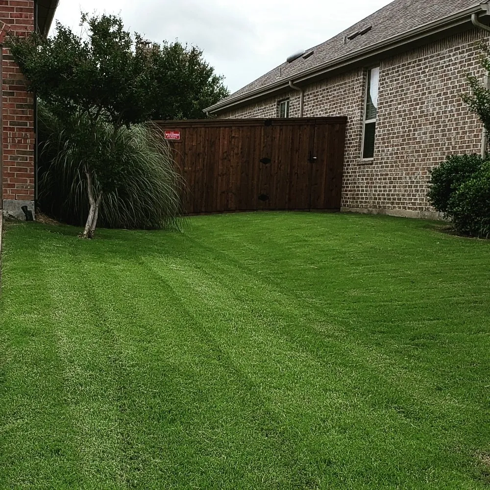 Affordable outdoor landscaping for outdoor upgrades across Prosper, TX - America's Best Lawncare