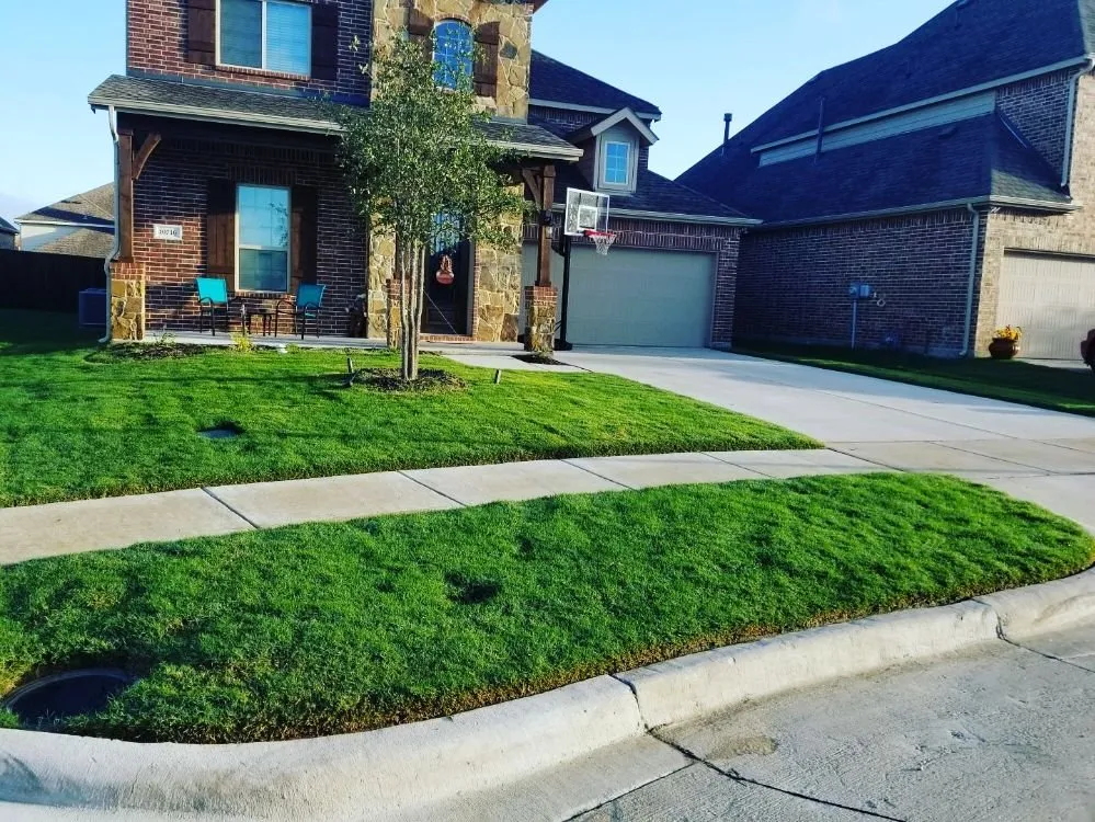 Trusted landscape installation for homes across Prosper, TX - America's Best Lawncare
