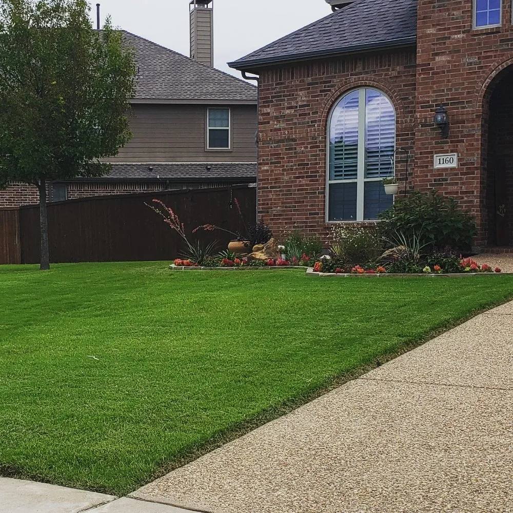 Local landscape installation in Prosper, TX - America's Best Lawncare