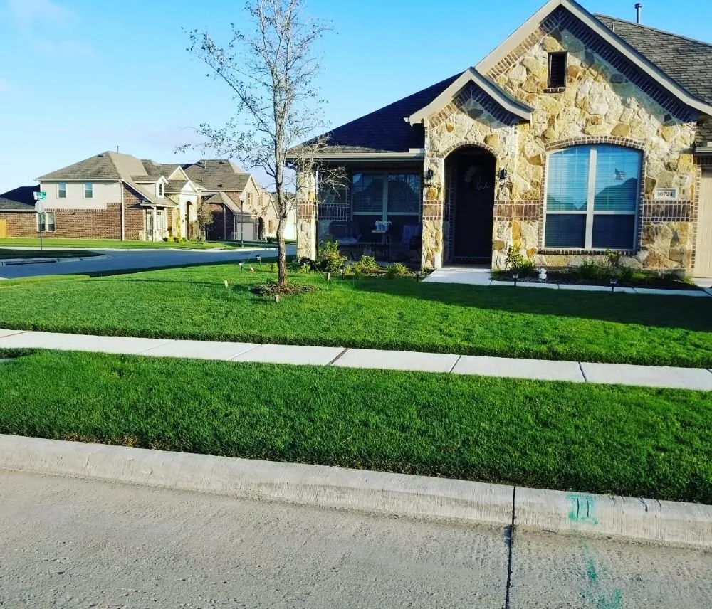 Top-rated lawn care service for outdoor upgrades across Prosper, TX - America's Best Lawncare