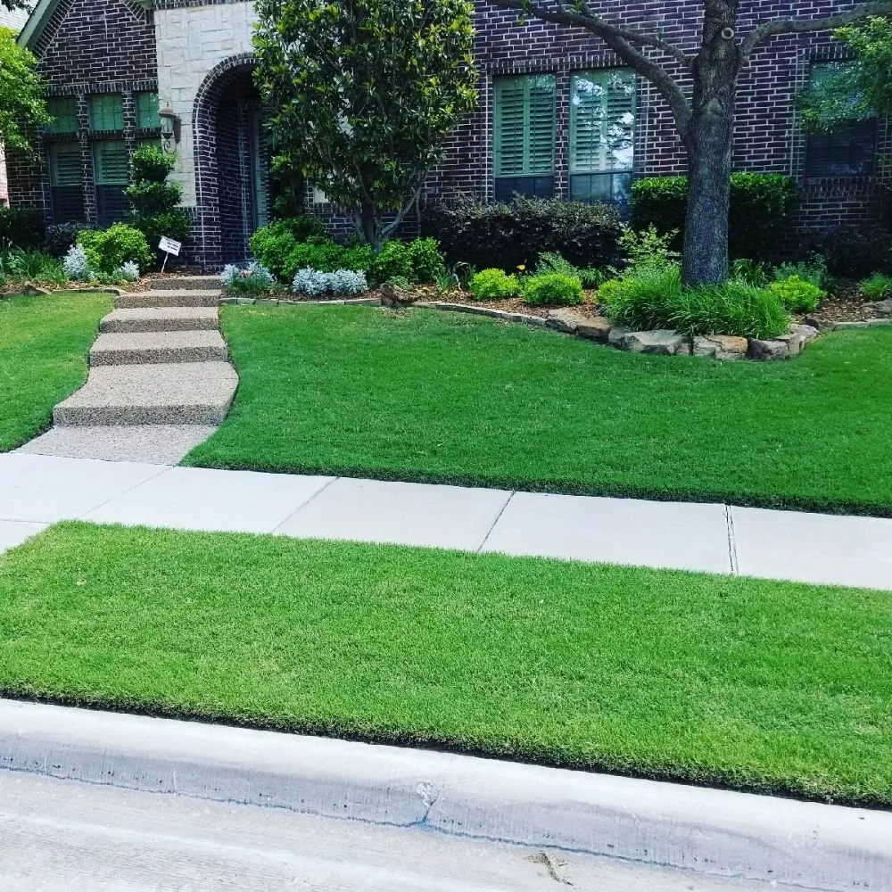 Professional yard cleanup service for homes across Prosper, TX - America's Best Lawncare
