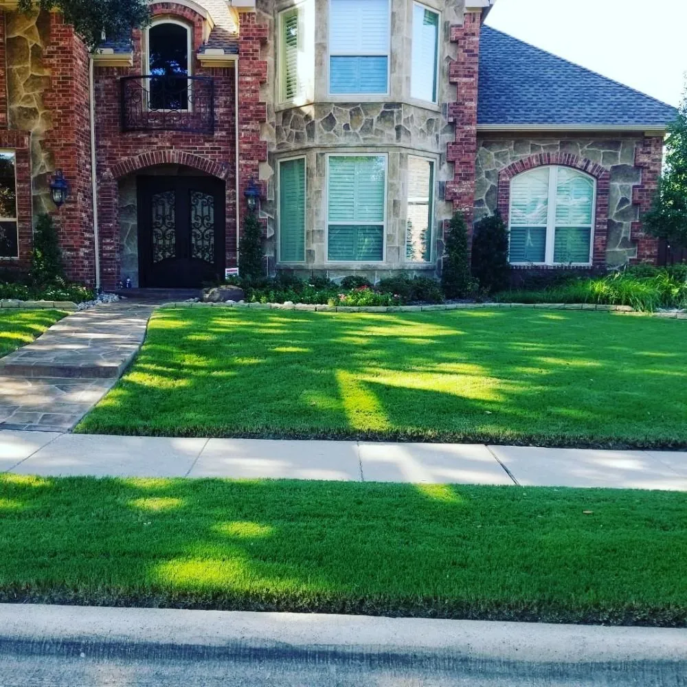 Top-rated yard cleanup service for year-round maintenance across Prosper, TX - America's Best Lawncare