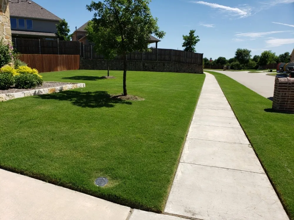 Expert lawn mowing service for homes across Prosper, TX - America's Best Lawncare