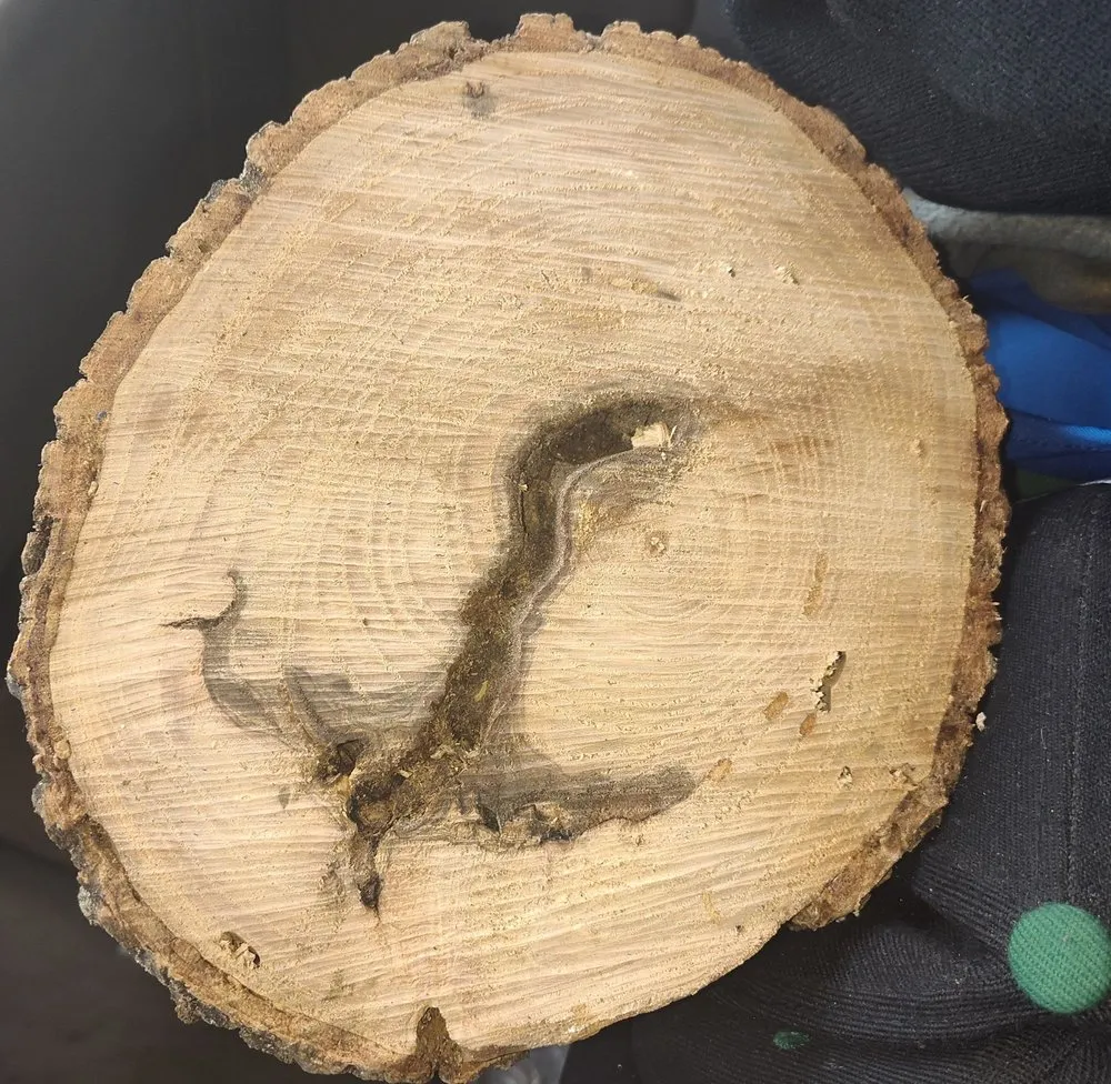 Local landscaping services for beautiful yards in Bossier City, LA by America's Choice Lawncare, Landscaping and Tree Removal