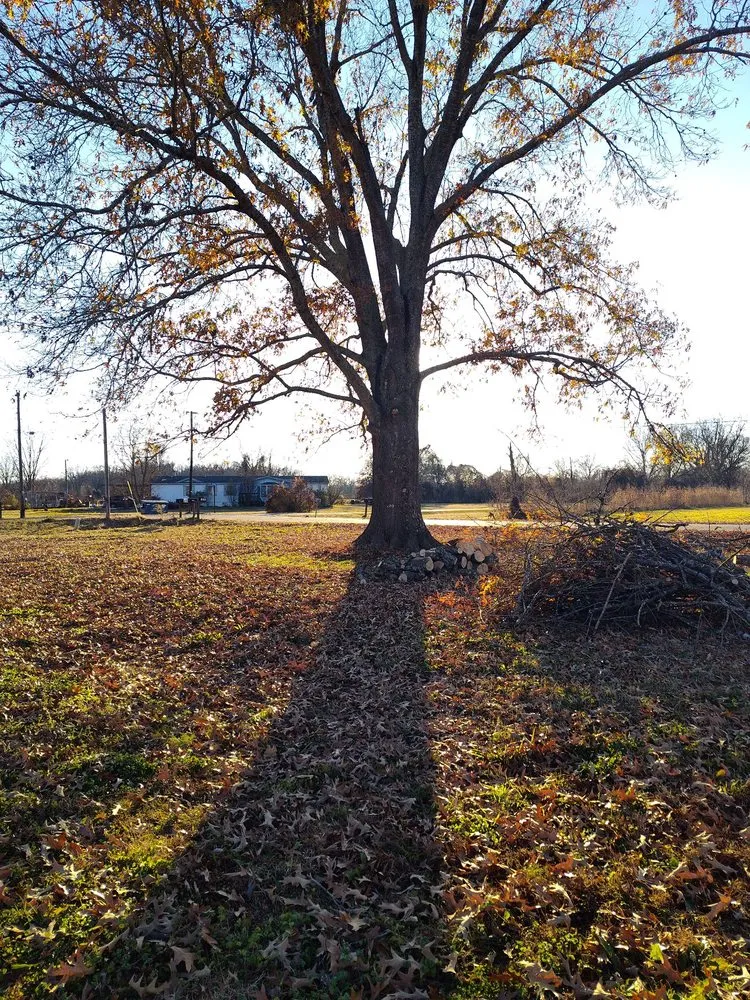 Local yard cleanup service in Bossier City, LA by America's Choice Lawncare, Landscaping and Tree Removal