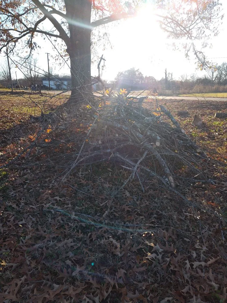 Custom landscaping services in Bossier City, LA - America's Choice Lawncare, Landscaping and Tree Removal