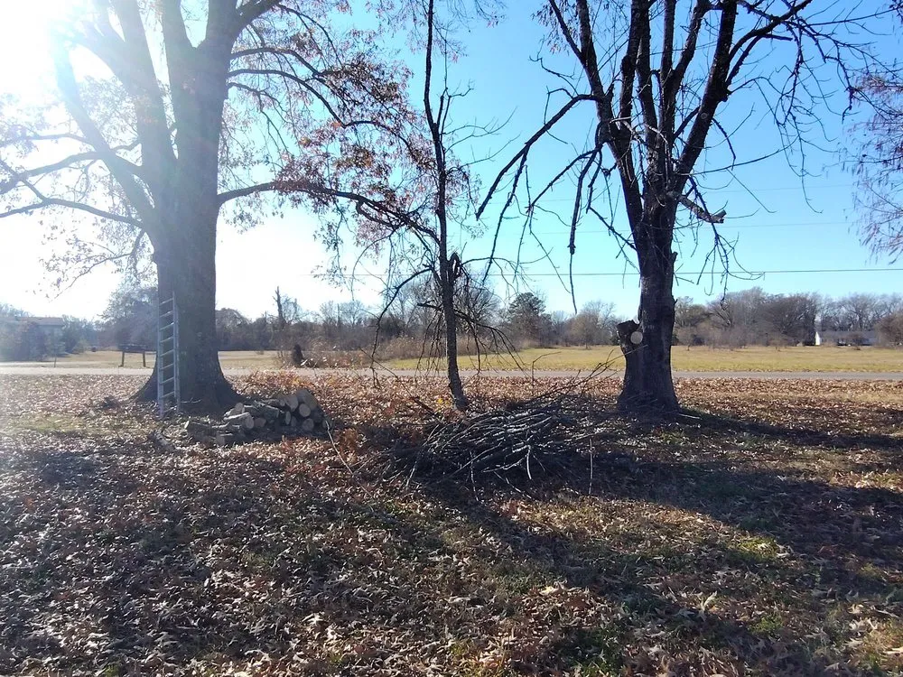 Reliable yard maintenance experts serving Bossier City, LA - America's Choice Lawncare, Landscaping and Tree Removal